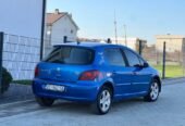 Pezho 307 2.0hdi dizel 2002 klimatronik